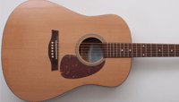 Beginner Acoustic Guitars